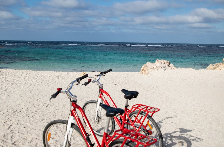 ロットネスト島1日ツアー（サイクリングプラン・ランチなし） - 自社Web販売