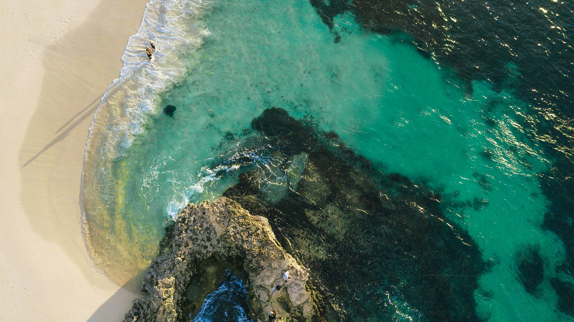 Book Grand Island Bus Tour - Rottnest Express