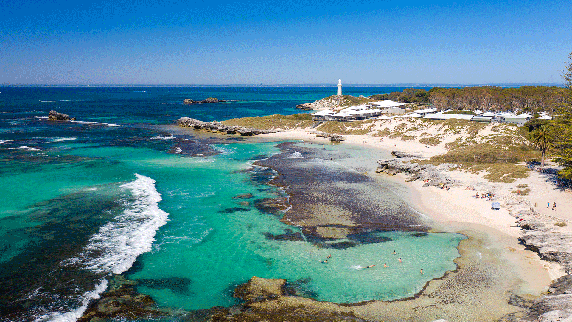 Give the Gift of Rotto - Rottnest Express